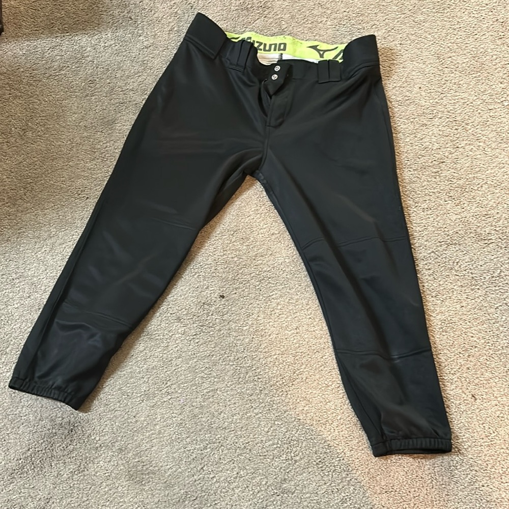 Softball Pants - image 1